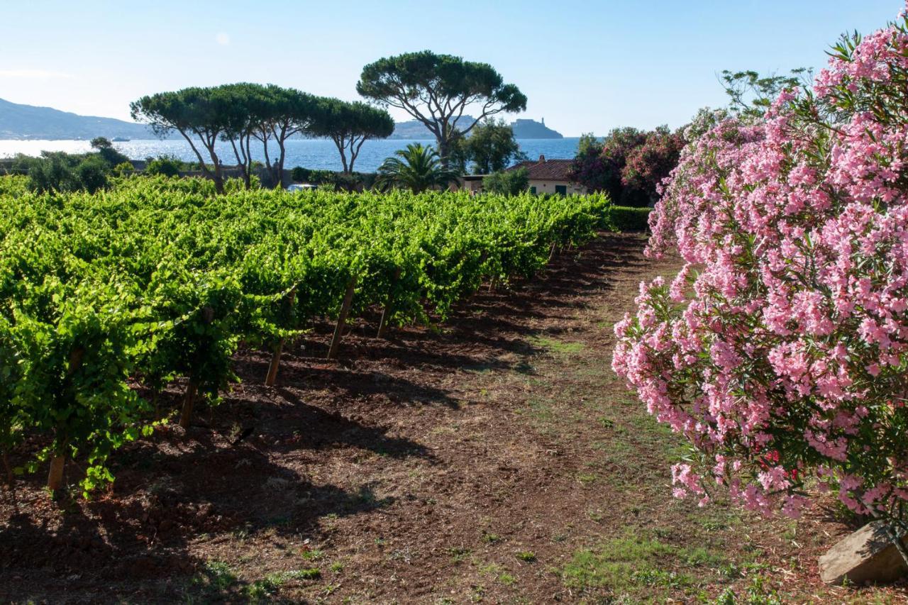 Tenuta La Chiusa Portoferraio Exterior foto